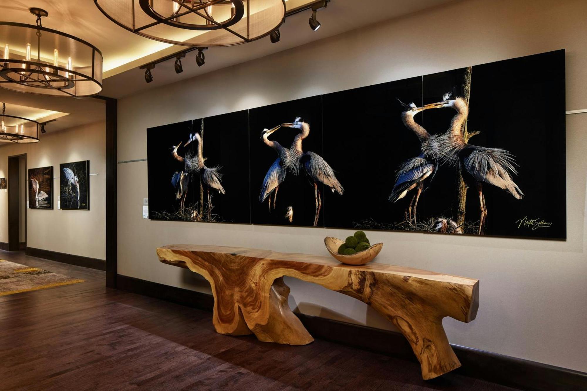 Andell Inn Kiawah Island Bagian luar foto